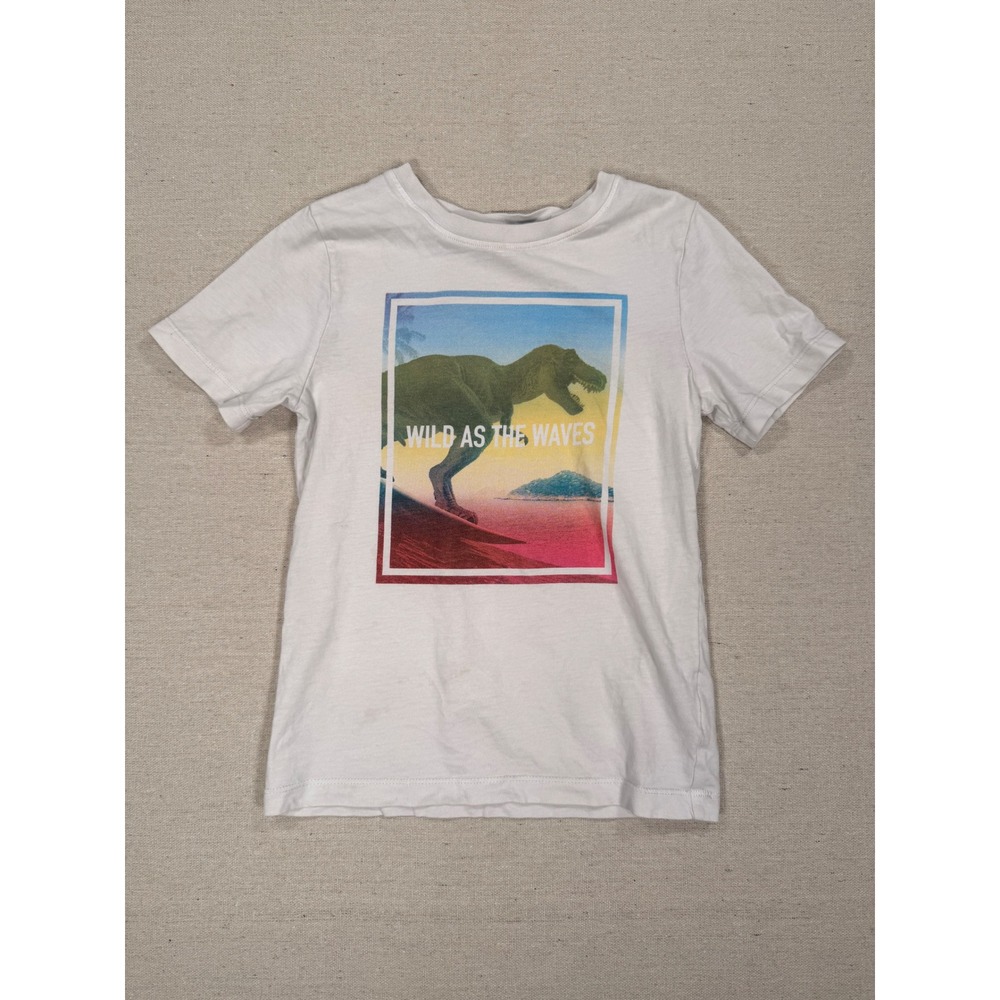 HM Kids Dinosaur Surfing T-Shirt Wild As The Waves Grey Graphic Tee Size 6-8Y